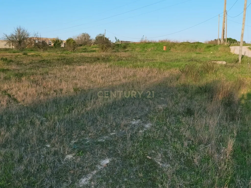 Terreno à Venda em Lamas – Cadaval - Image 5