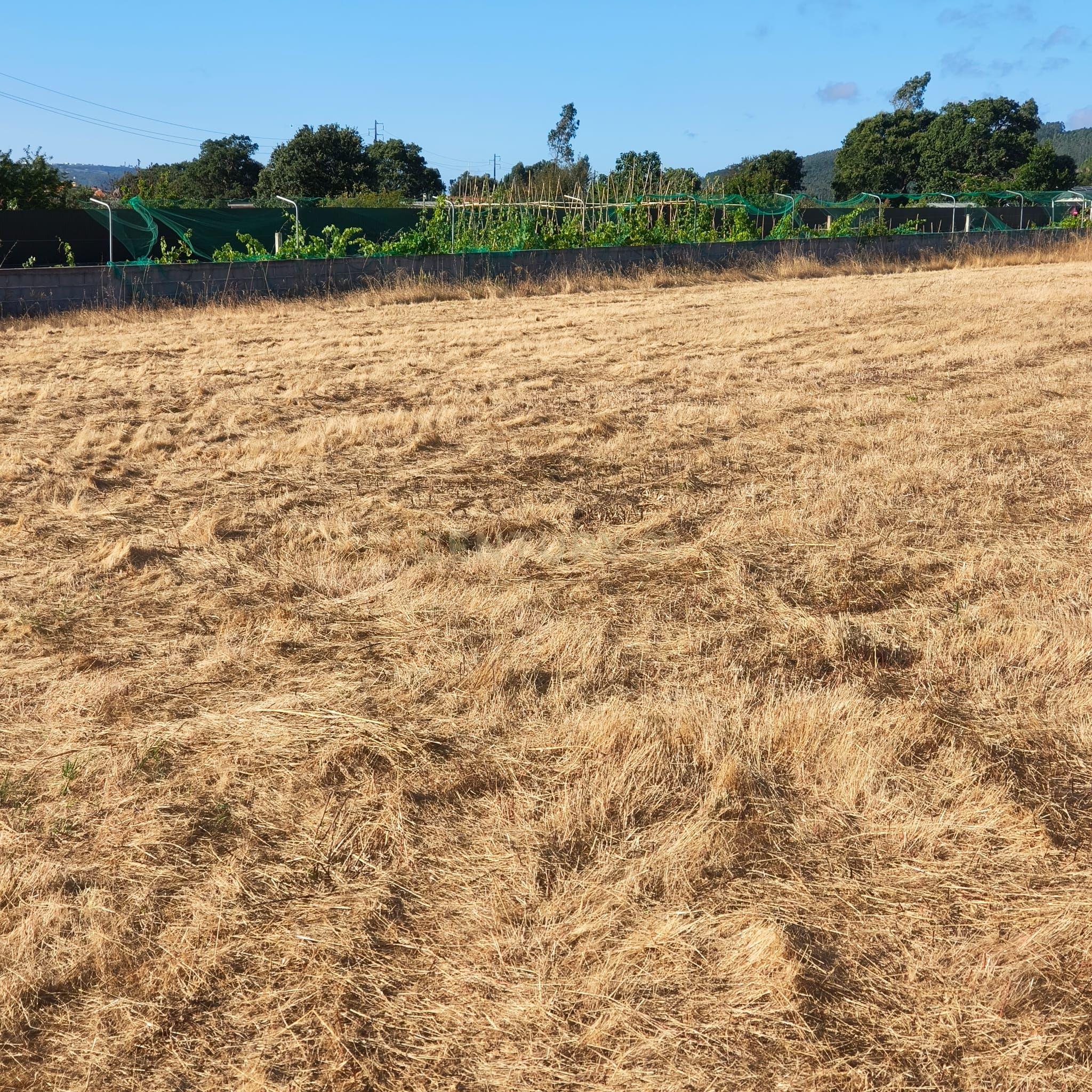 Fotografia 6 de Terreno Construtível em Alfeizerão, Alcobaça - 1700m²