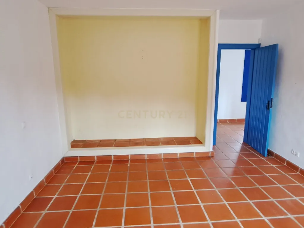 Terreno Rustico 5250m2 com moradia não licenciada Pegões Claros - Image 13
