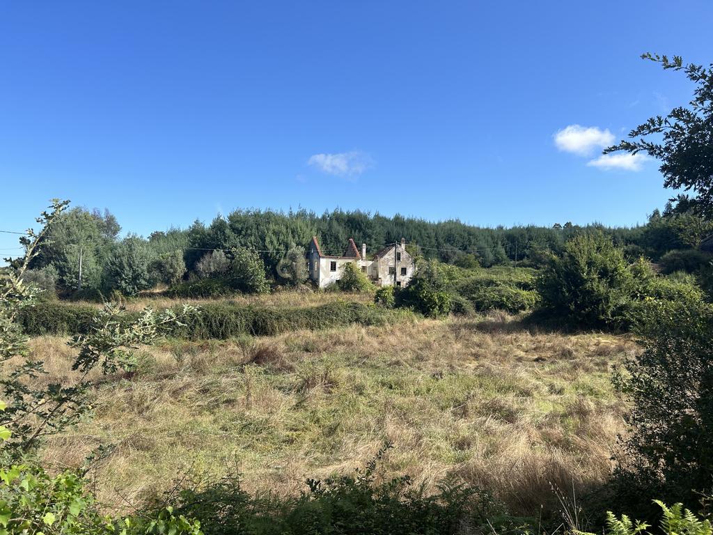 Quinta com Ruína - Oportunidade de Negócio - Image 13