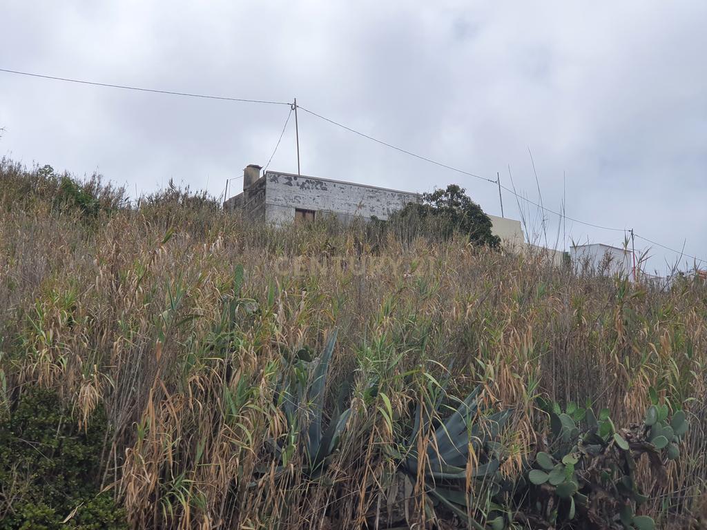 undefined - Image 8