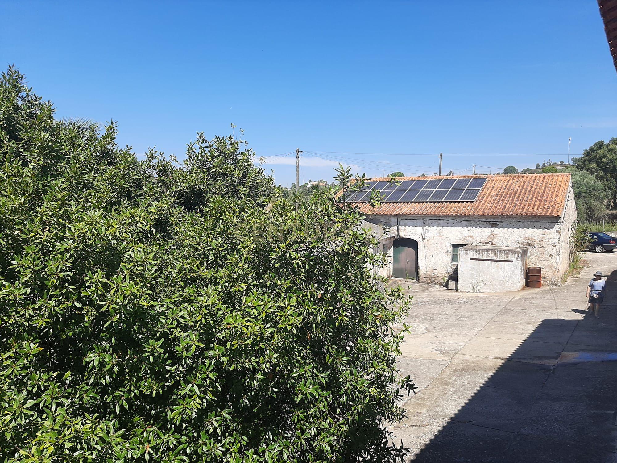 Quintinha com moradia de 10 assoalhadas e anexos, lote de 19.060m2, Mouriscas, Abrantes - Image 6