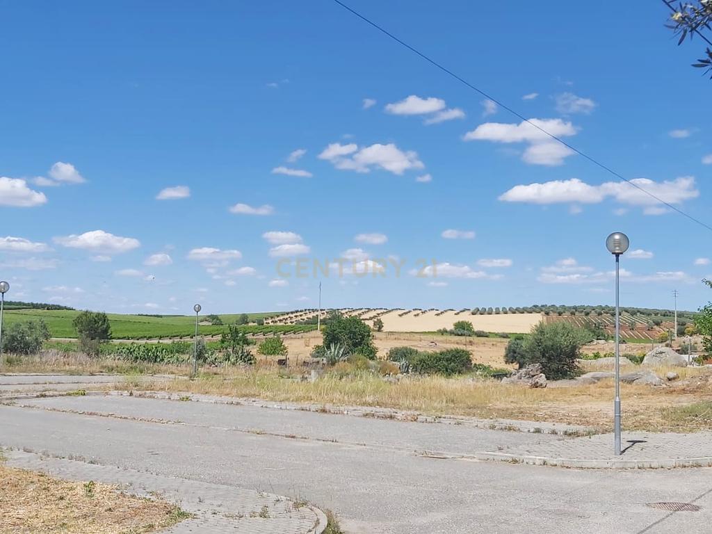 PEDROGÃO ALENTEJO - EXCELENTE TERRENO PARA CONSTRUÇÃO - Image 4