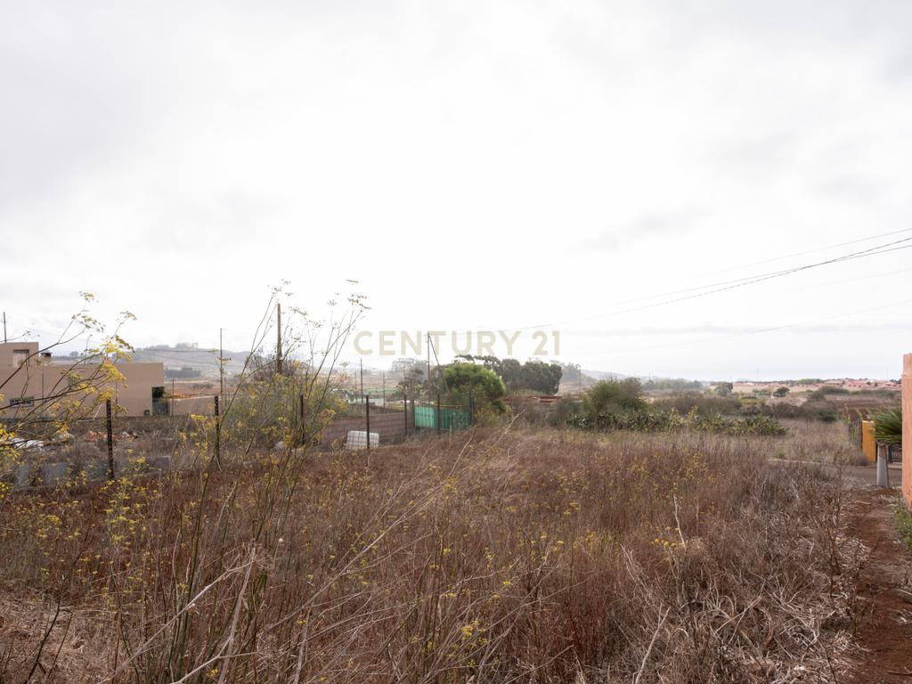 undefined - Image 6