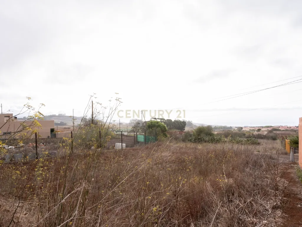 undefined - Image 6