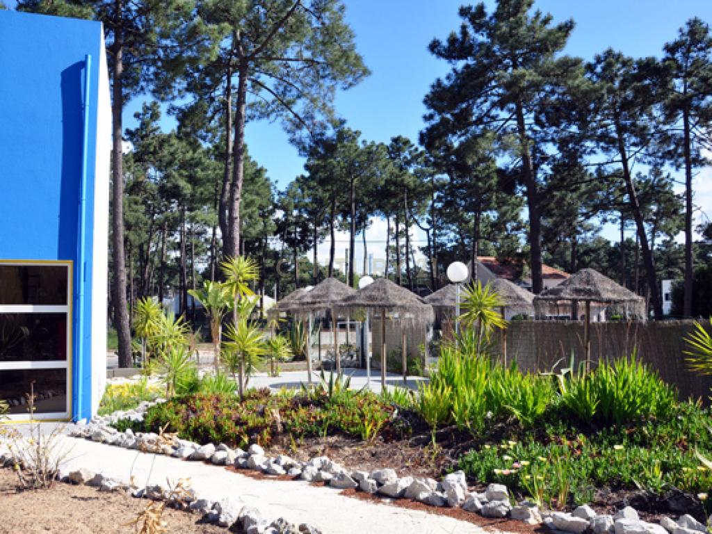 Residência Sénior com 1.181m2, em pleno funcionamento e com rentabilidade imediata e garantida - Aroeira - Image 8