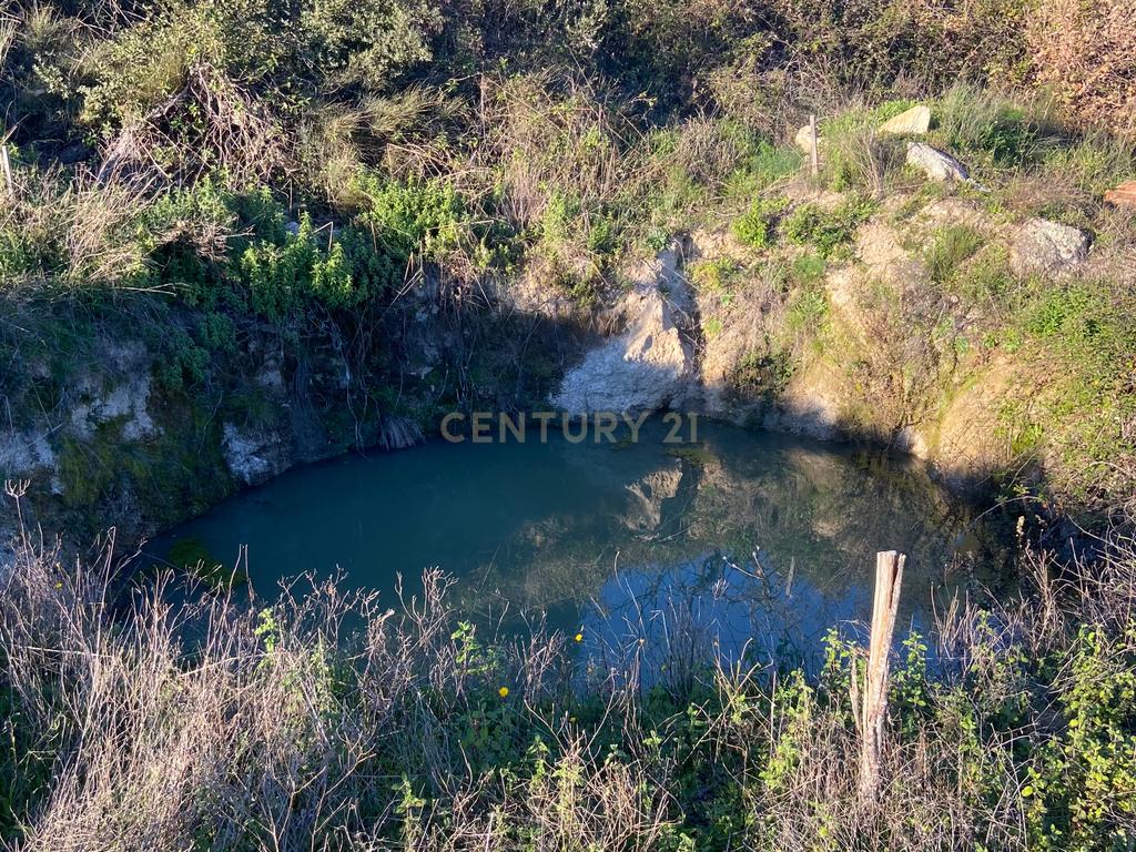 Magnífico terreno rústico com 1,9 hectares - Penamacor - Image 8
