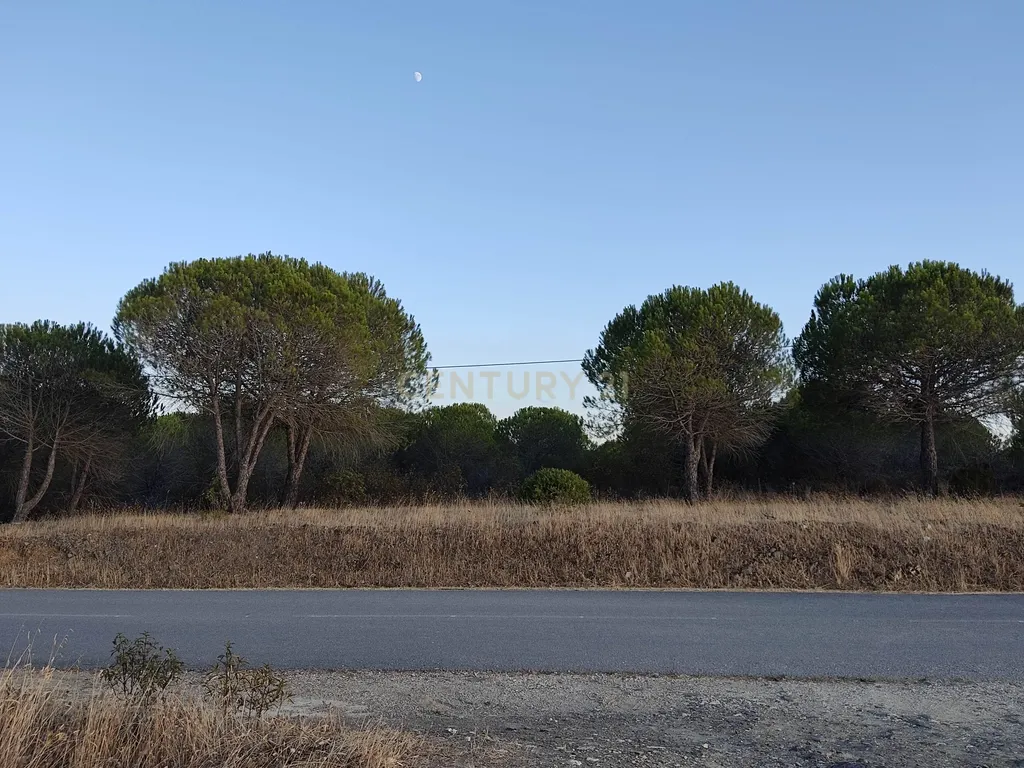Terreno de 23 Hectares, junto à Barragem da Bravura. - Image 5