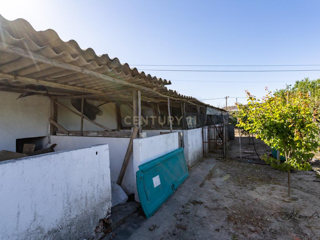 Quinta com Moradia T9 - Santo Isidro de Pegões - Montijo - Image 3
