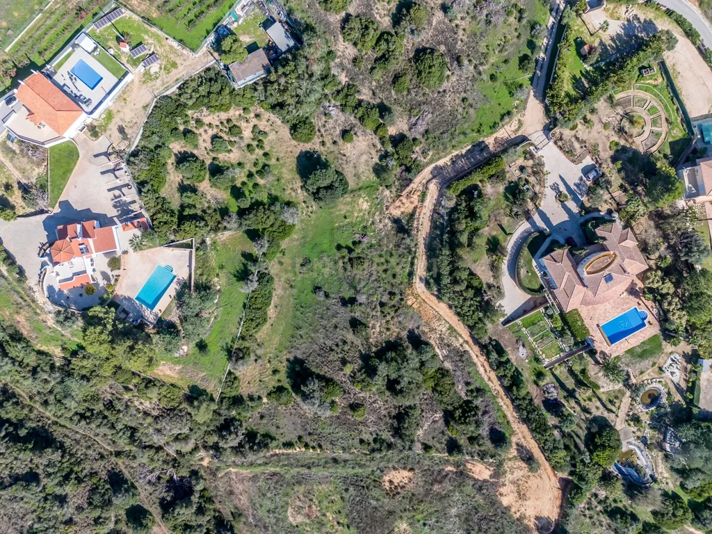 Terreno para agricultura em Vale D'el Rei - Image 8