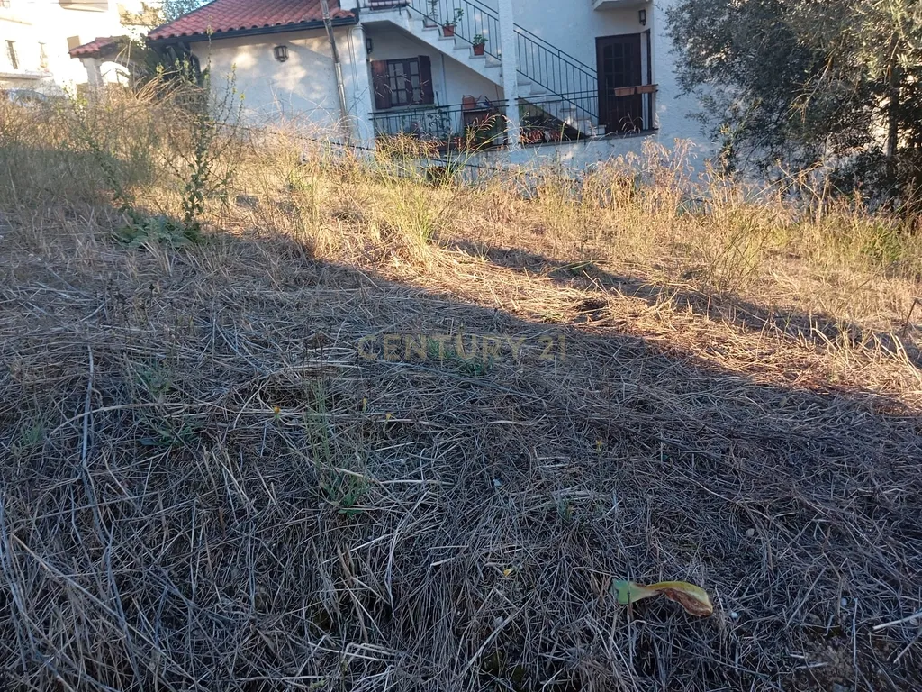EXCELENTE LOTE DE TERRENO ENCOSTA DO SOL SOURE - Image 8