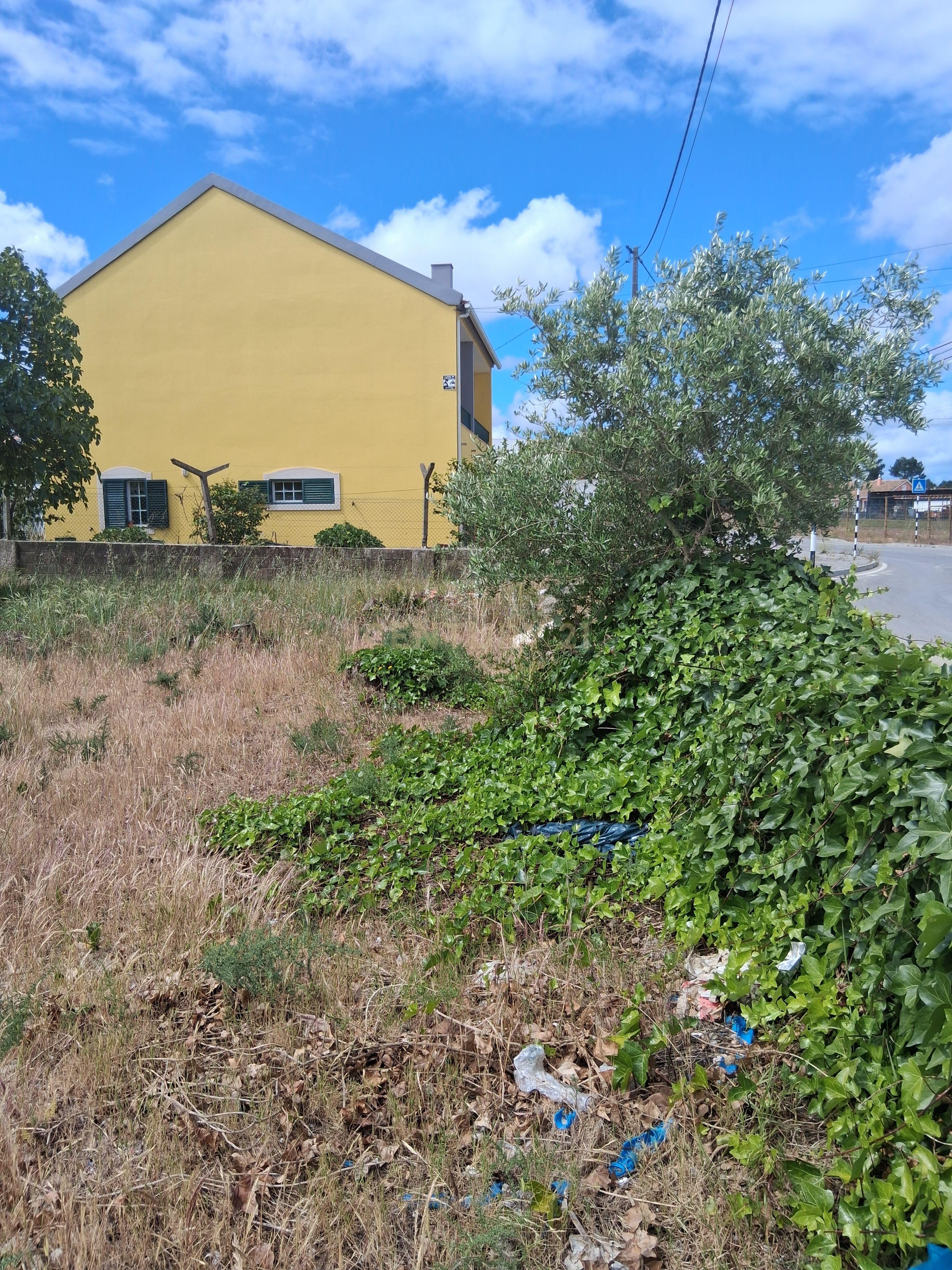 Fotografia 12 de Terreno urbano em gaveto na rua Fernão  Magalhães, Pinhal do General.