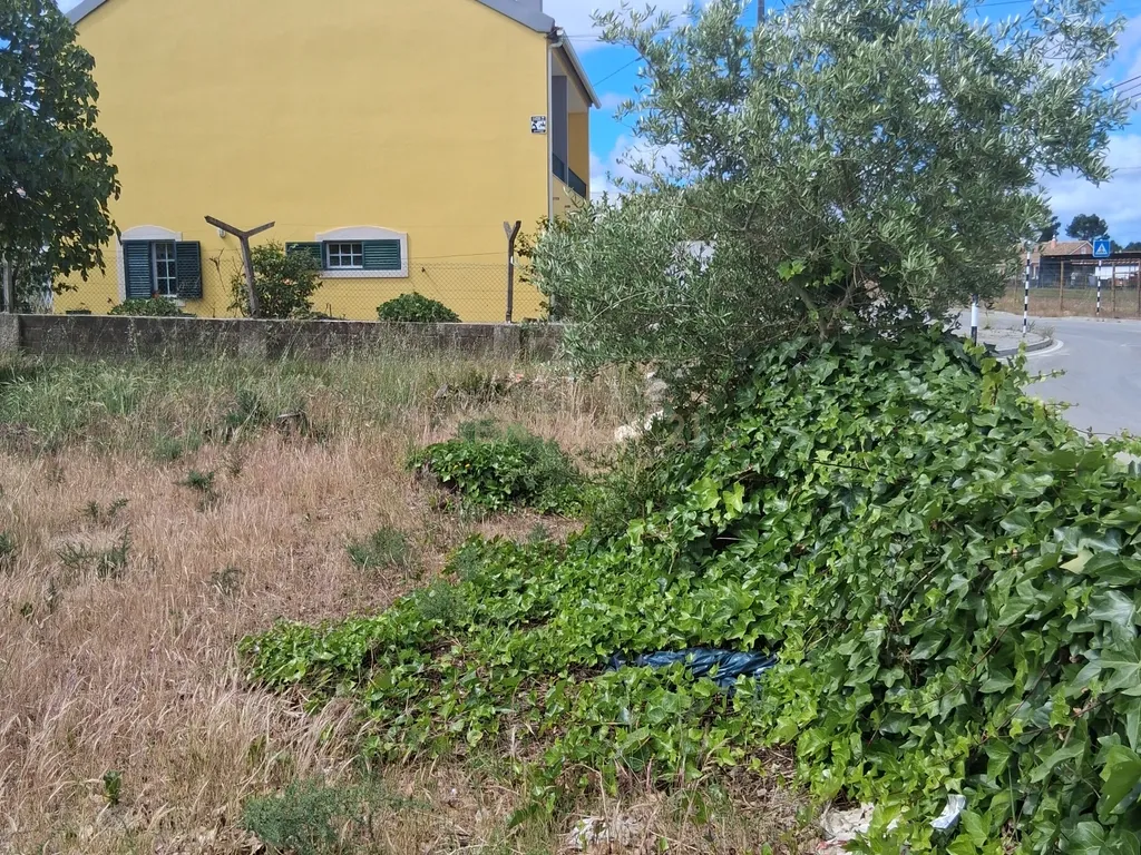 Terreno urbano em gaveto na rua Fernão Magalhães, Pinhal do General. - Image 12