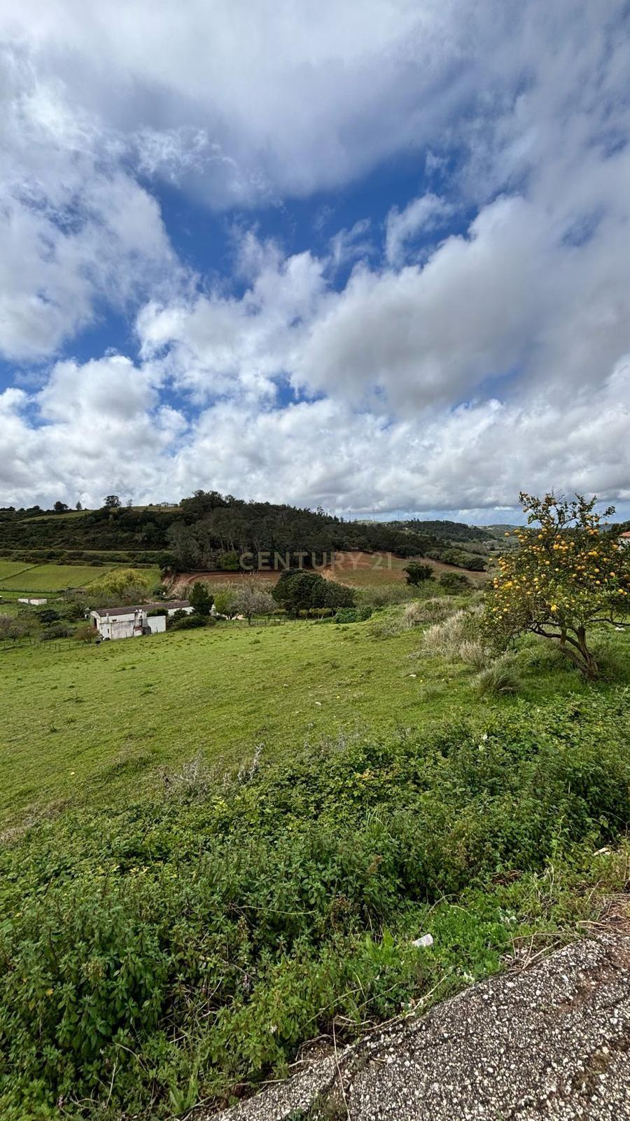 Terreno com Projeto Aprovado | 17 Moradias | Quinta na Zibreira – Torres Vedras - Image 2