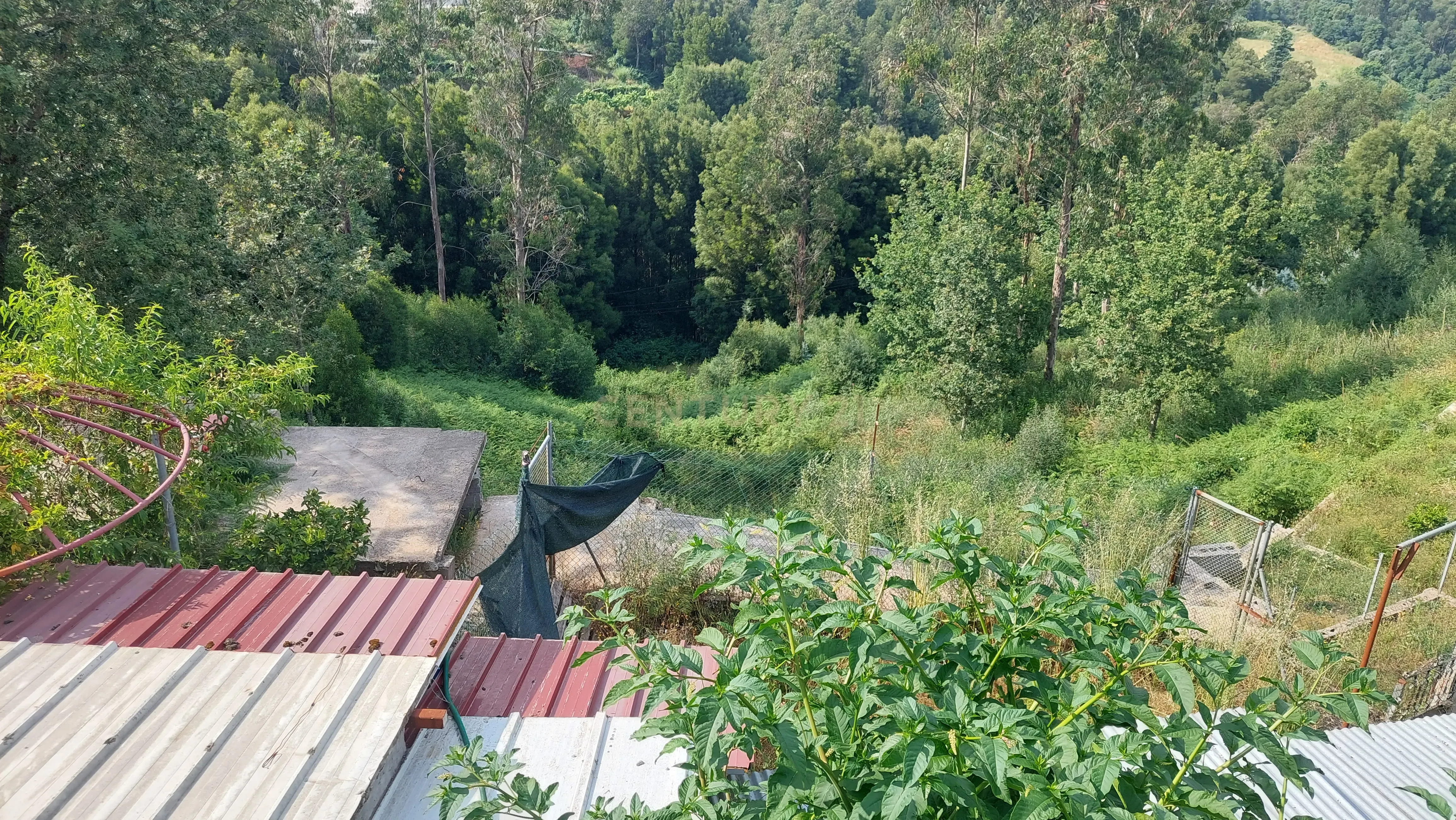 Terreno Rustico em Crestuma, Vila Nova de Gaia - Image 16