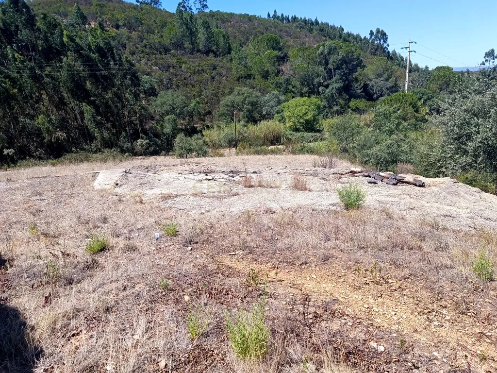 Terreno Misto com 3,66HA - Perna Seca - S. B. Messines - Image 23