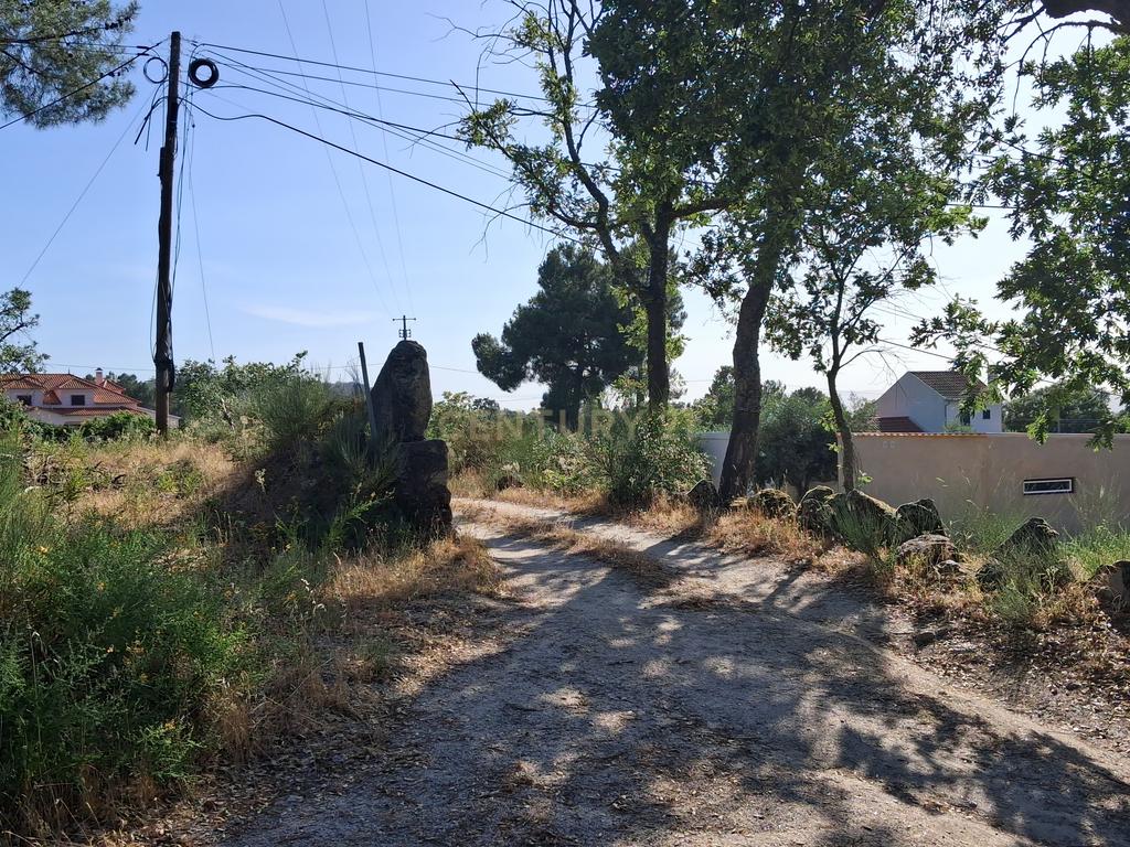 Terreno Rústico, 3800m2 em Aldeia do Bispo, Penamacor - Image 8