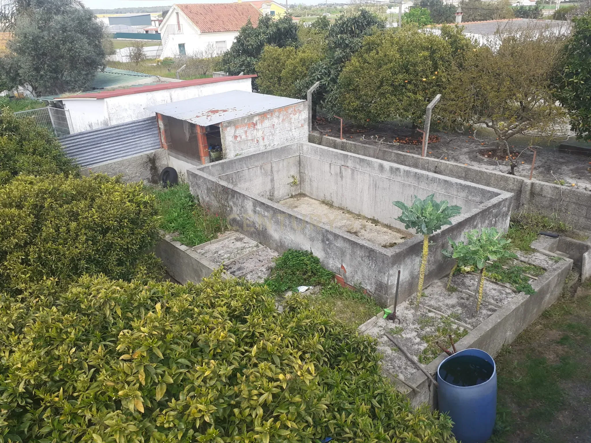 Fotografia 11 de Exclusivo | Terreno com Benfeitorias em Santo Isidro de Pegões