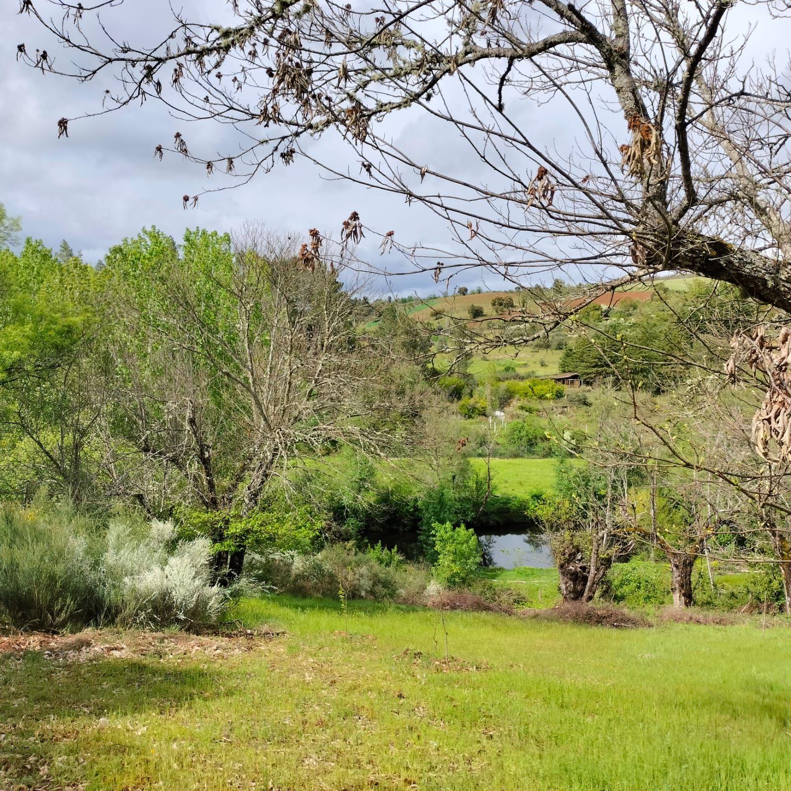 Fotografia 5 de Terreno de 4.500 m² em Meixedo, Bragança — uma oportunidade para um projeto de ecoturismo e turismo de natureza