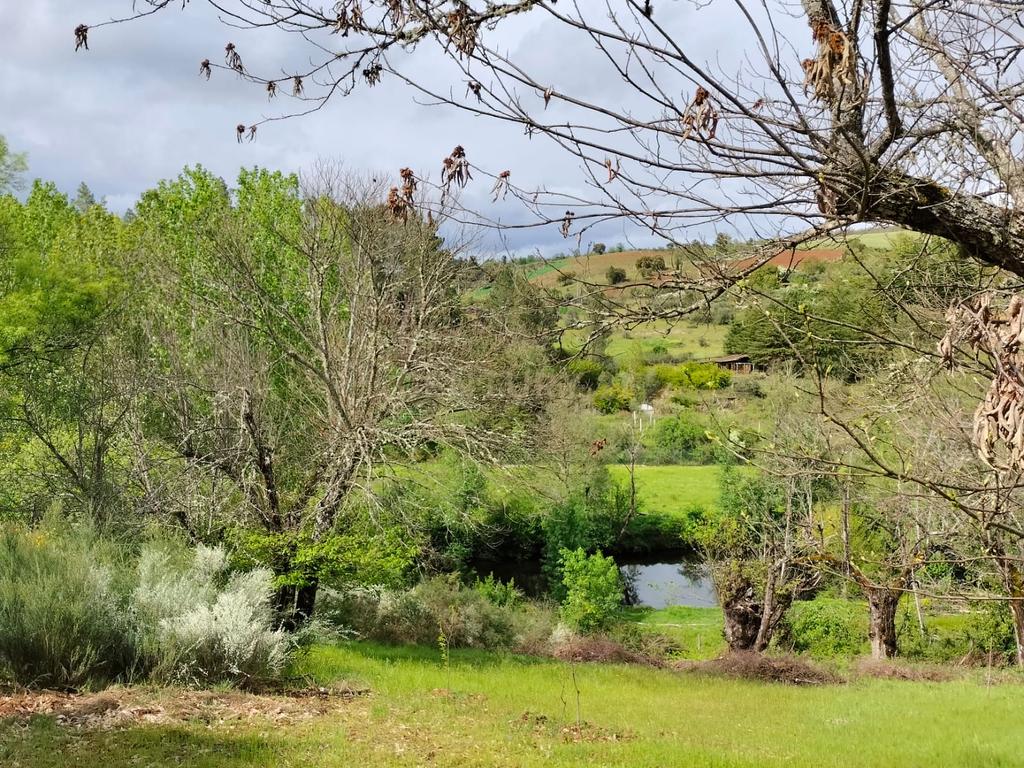 Terreno de 4.500 m² em Meixedo, Bragança — uma oportunidade para um projeto de ecoturismo e turismo de natureza - Image 5