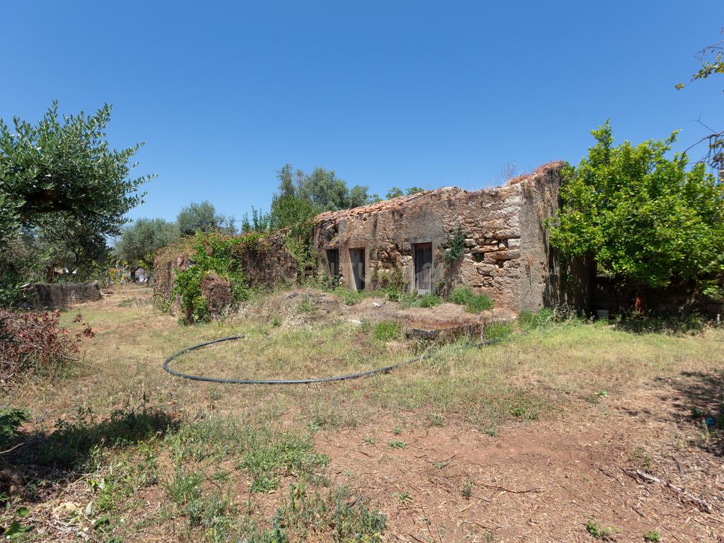 Espetacular Moradia em Areias e Pias, Ferreira do Zêzere - Image 38