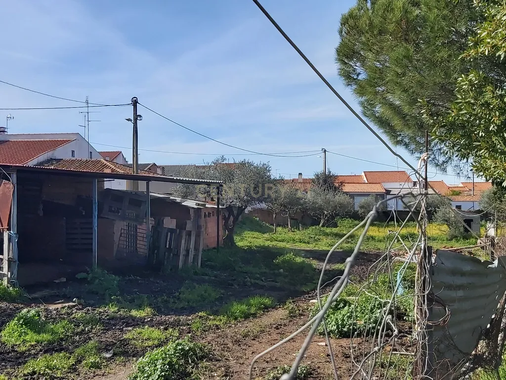 ✨ Terreno com 8.500 m² com 2 Moradia na encantadora Vila da Amareleja – Alentejo ✨ - Image 8
