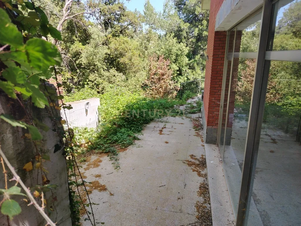 - Image 31