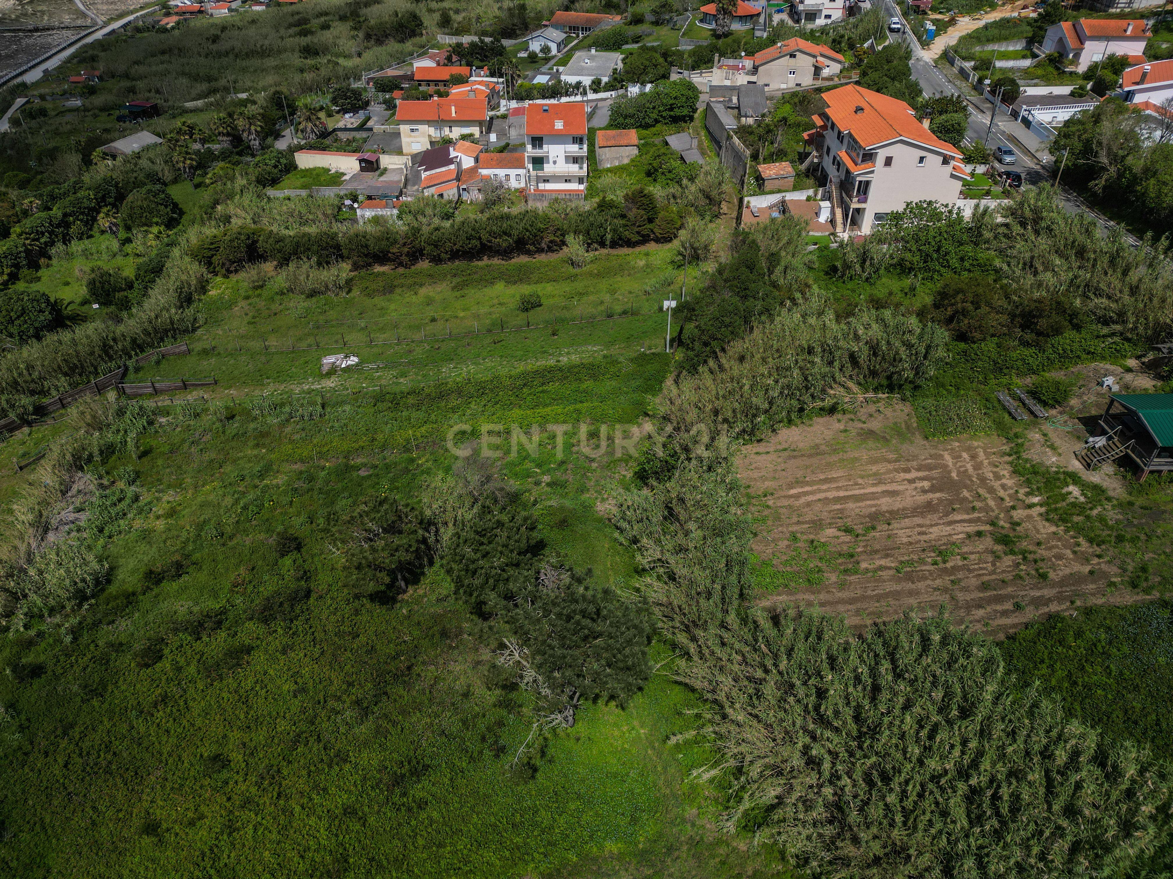 Terreno com Vista Mar e Montanha na Murtinheira - Image 12