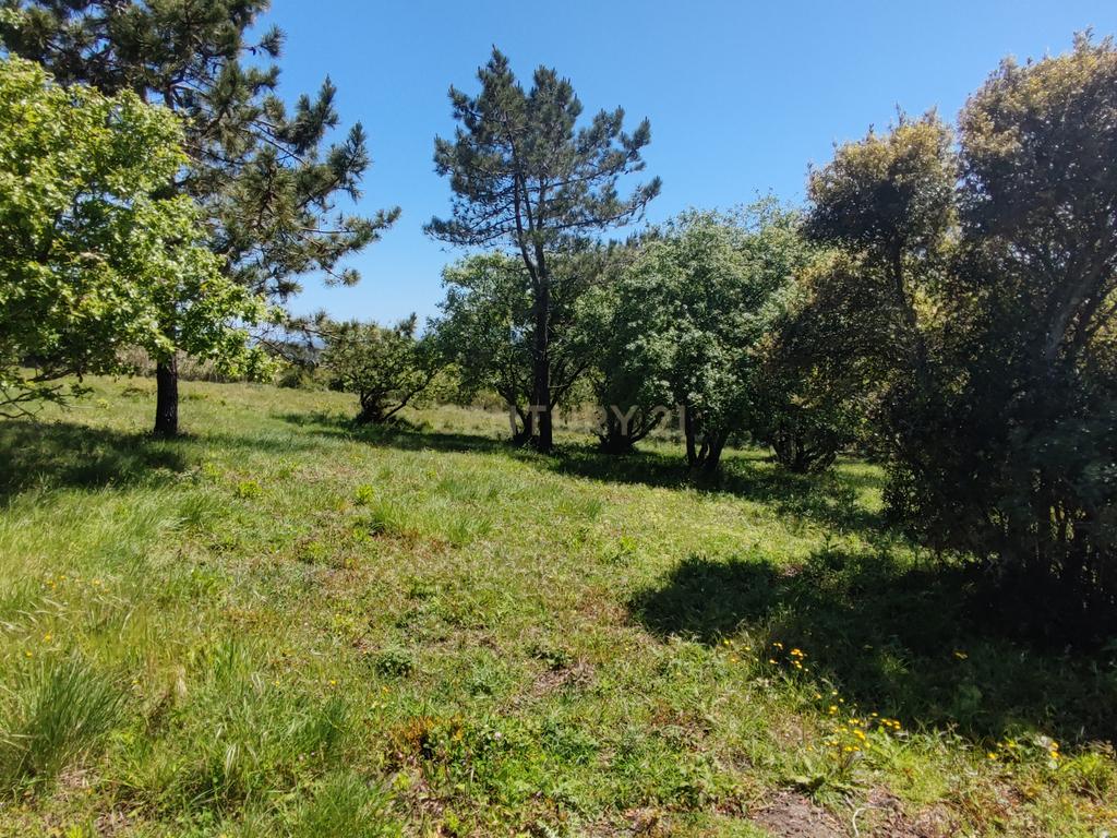 Terreno na Nazaré - Image 20
