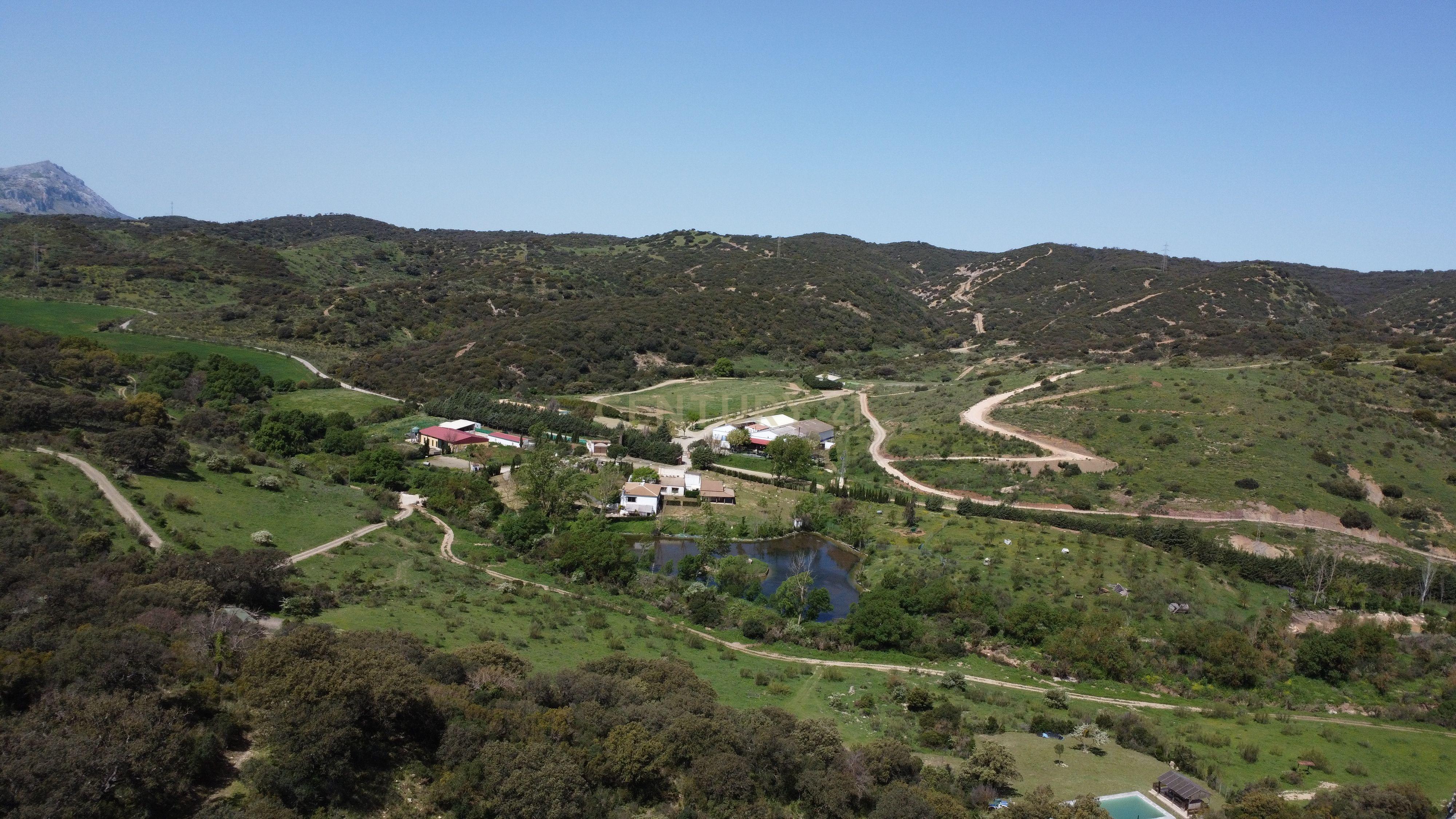 VENDA DE PROPRIEDADE RÚSTICA EM ANTEQUERA COM EXPLORAÇÃO DE AGROTURISMO - Image 12