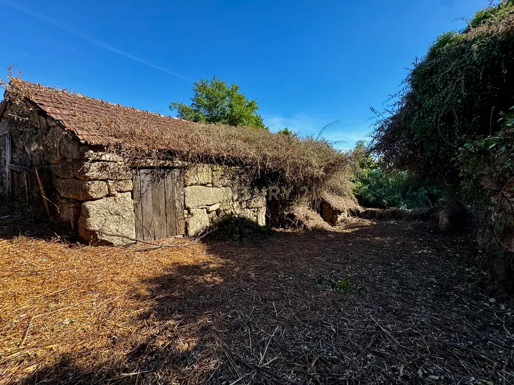 Moradias em ruína em Abragão - Image 8