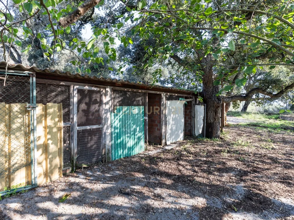MASIA CATALANA EN VENDA A LLAGOSTERA – MÉS DE 7 HECTÀREES DE TERRENY, LLICÈNCIA TURÍSTICA, PISCINA I CAMP DE FUTBOL - Image 51