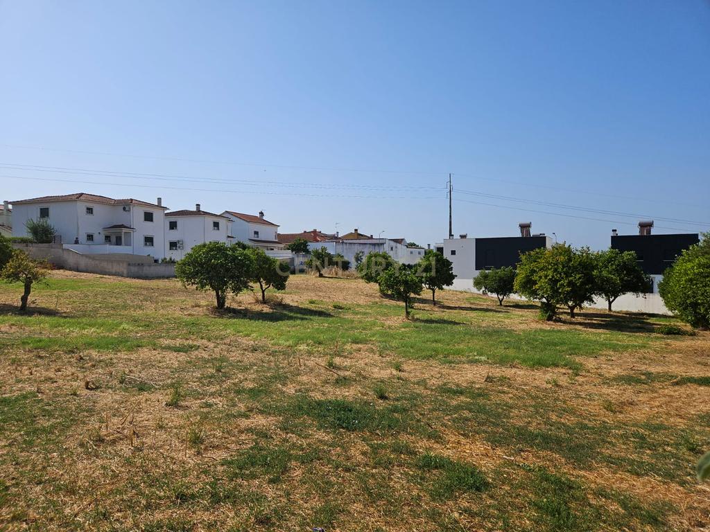 Terreno Urbano em Atalaia Vila Nova da Barquinha - Image 8