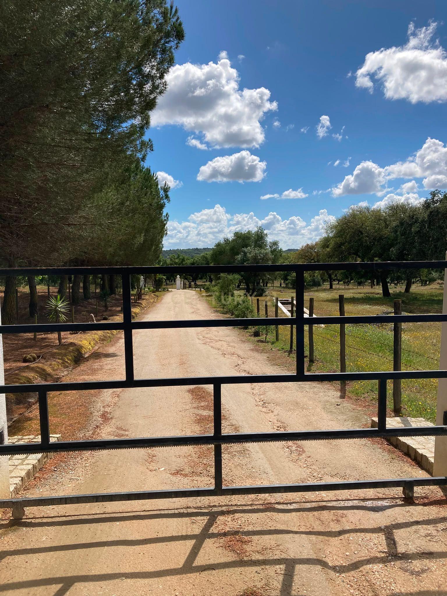 Fotografia 3 de Herdade da Pedra Longa — Um Património Único no Coração do Alentejo