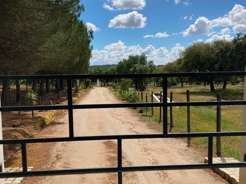 Herdade da Pedra Longa — Um Património Único no Coração do Alentejo - Image 3