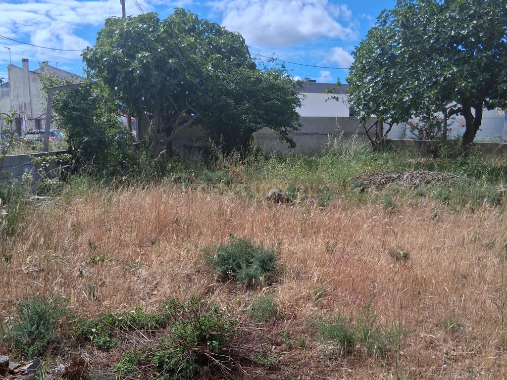 Terreno urbano em gaveto na rua Fernão Magalhães, Pinhal do General. - Image 13