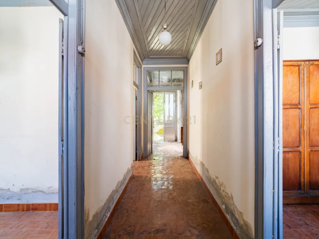 Moradia Térrea com Excelente Potencial 2.116 m2 de terreno Localização Priviligiada - Image 5
