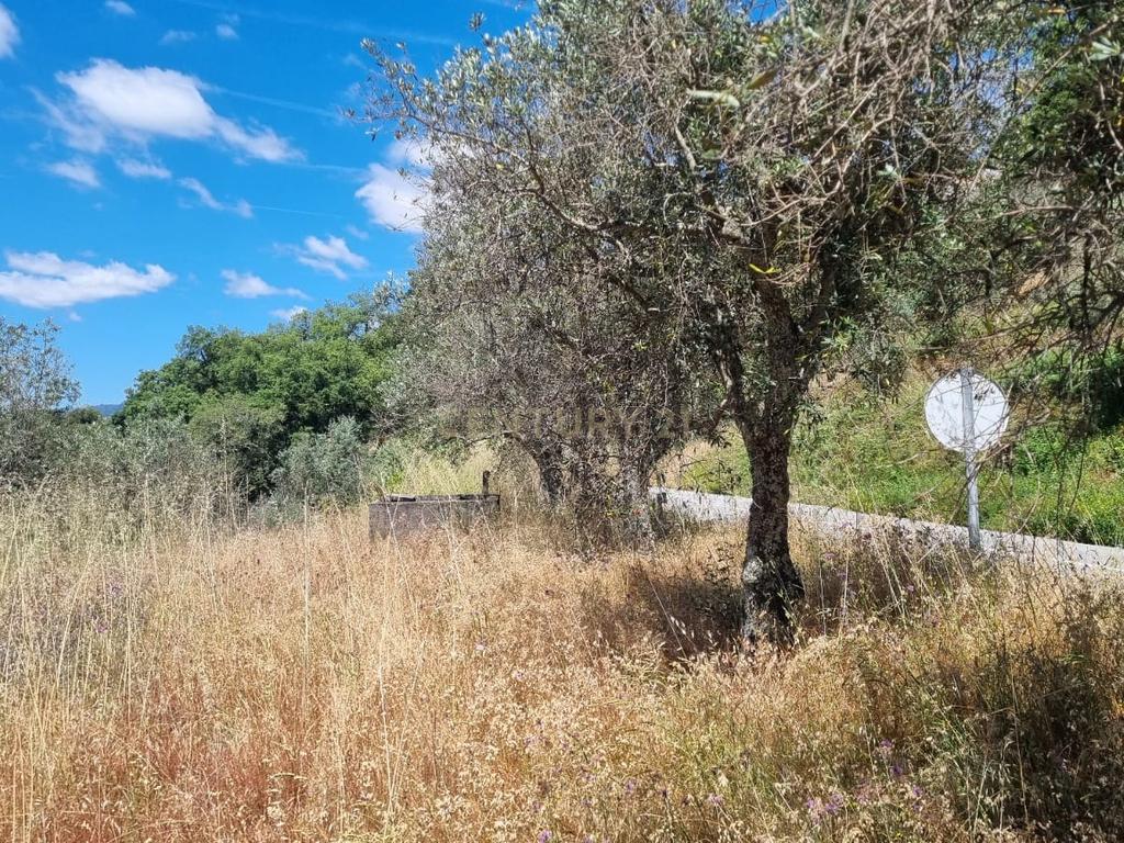 Moradia em ruina repleta de belas histórias, para reconstruir, no coração do Douro em Frende, Baião - Image 44