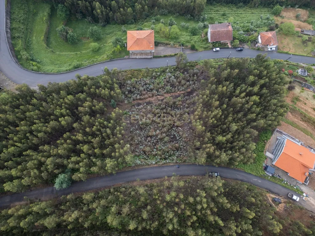 Terreno para Construção com Projeto Turístico e Vista Rio Douro – Castelo de Paiva - Image 10