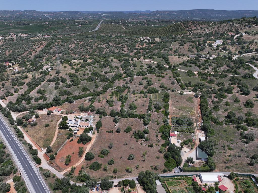 Terreno rústico localizado em Gateiras em Tunes, com uma área total de 14880m². - Image 3