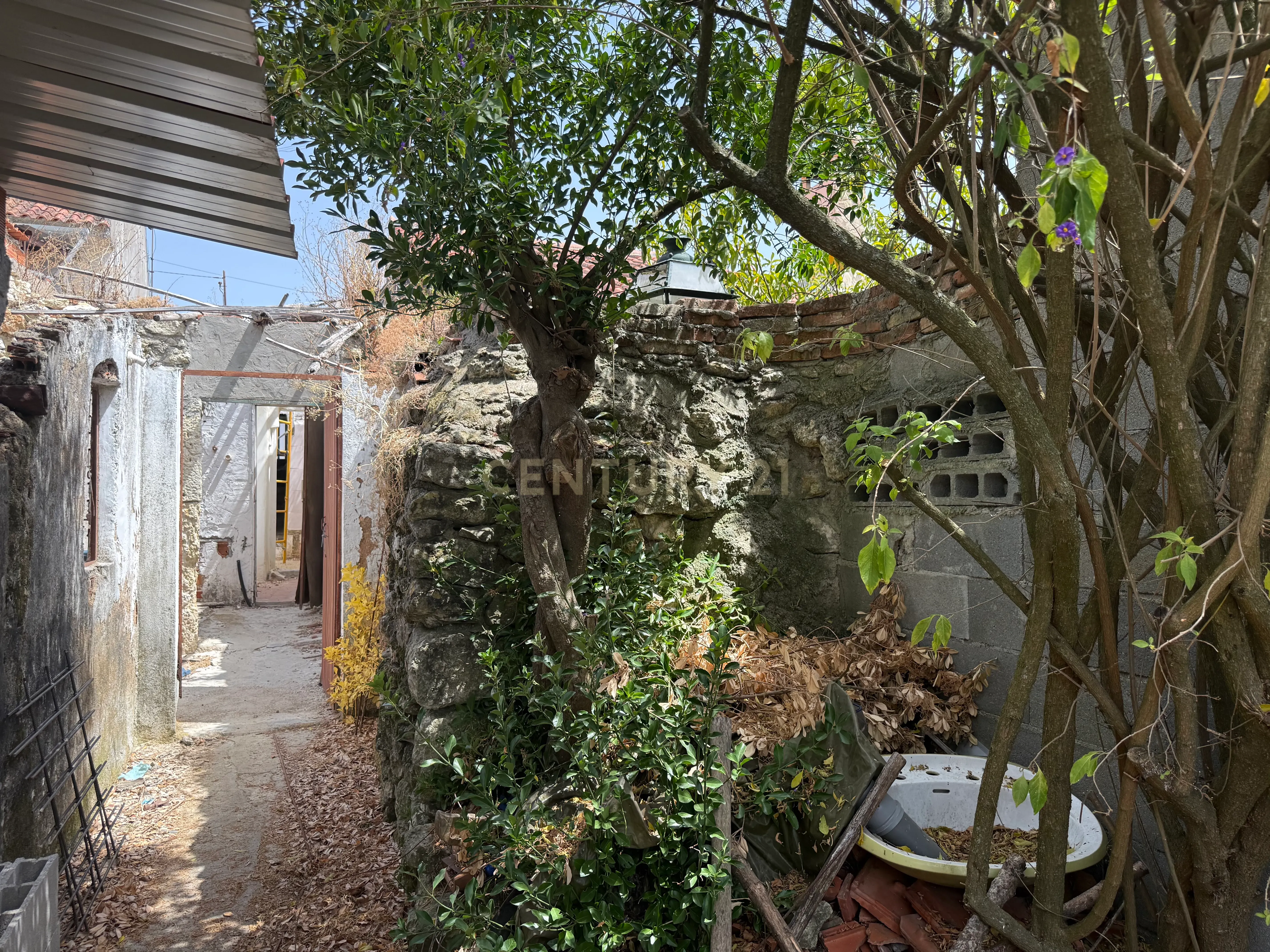 Moradia T1 à venda em Assentiz, Torres Novas — foto 12