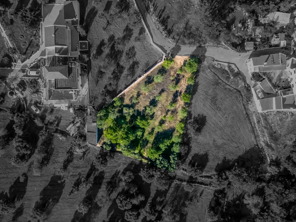Terreno para construção na Campina – São Brás de Alportel - Image 1