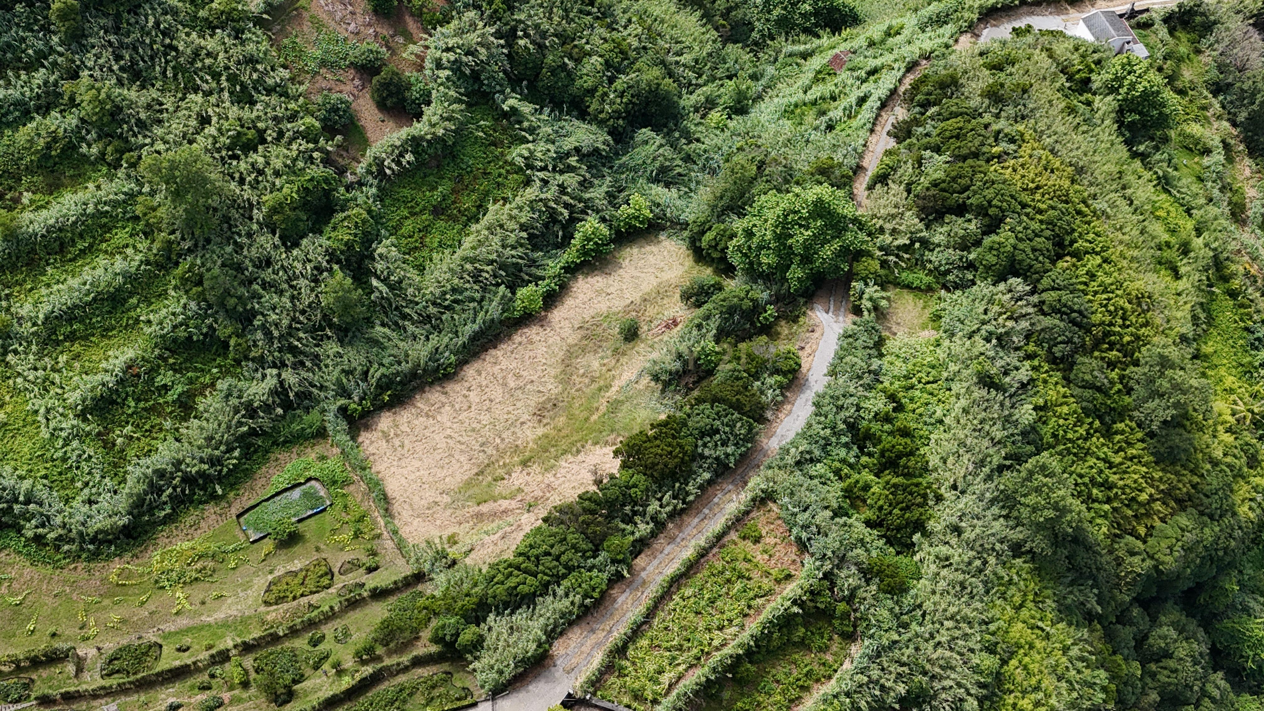 Fotografia 4 de 🌿 Um refúgio de natureza em plena costa norte de São Miguel! 🌊