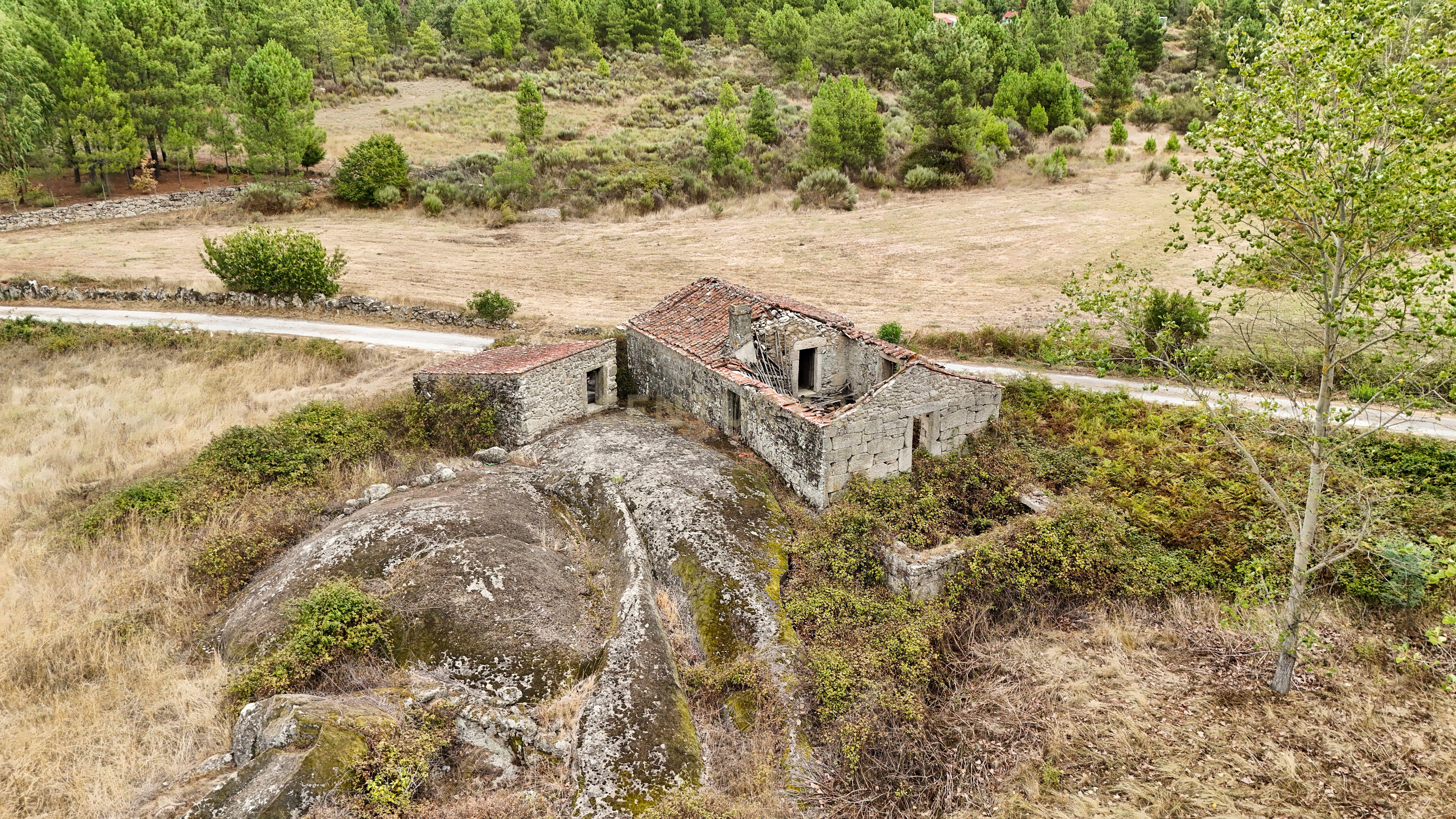 Fotografia 3 de Quinta com 37.000 m² e casa de pedra em Figueiró da Granja - Fornos de Algodres
