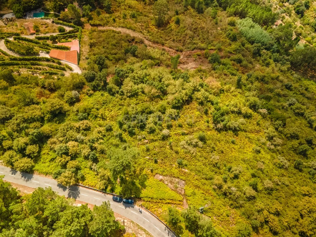Terreno Rústico com vista para o Rio Douro - Image 2