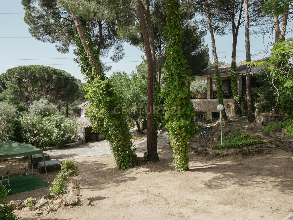  - Image 7