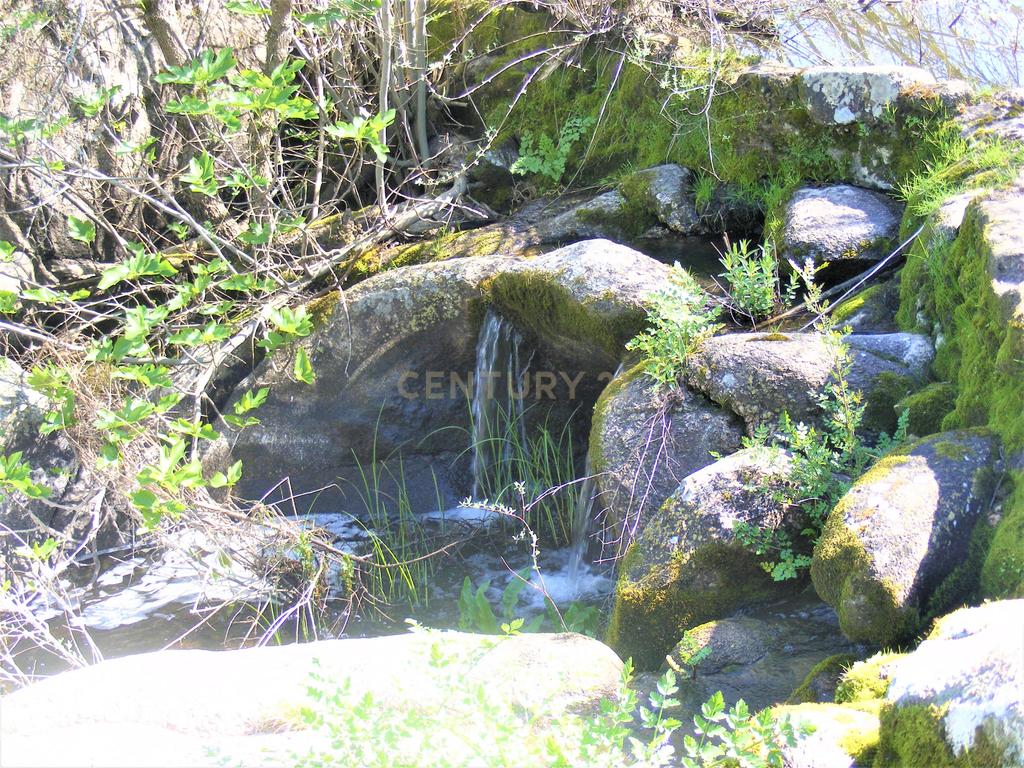 Quinta Típica Alentejana, Licença de Turismo Rural, Arrendamento, Arraiolos - Image 51