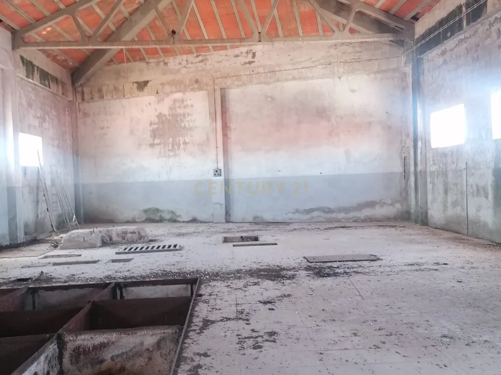 Armazém (565 m2 ) em pleno centro habitacional na Vidigueira para usar ou transformar! - Image 15