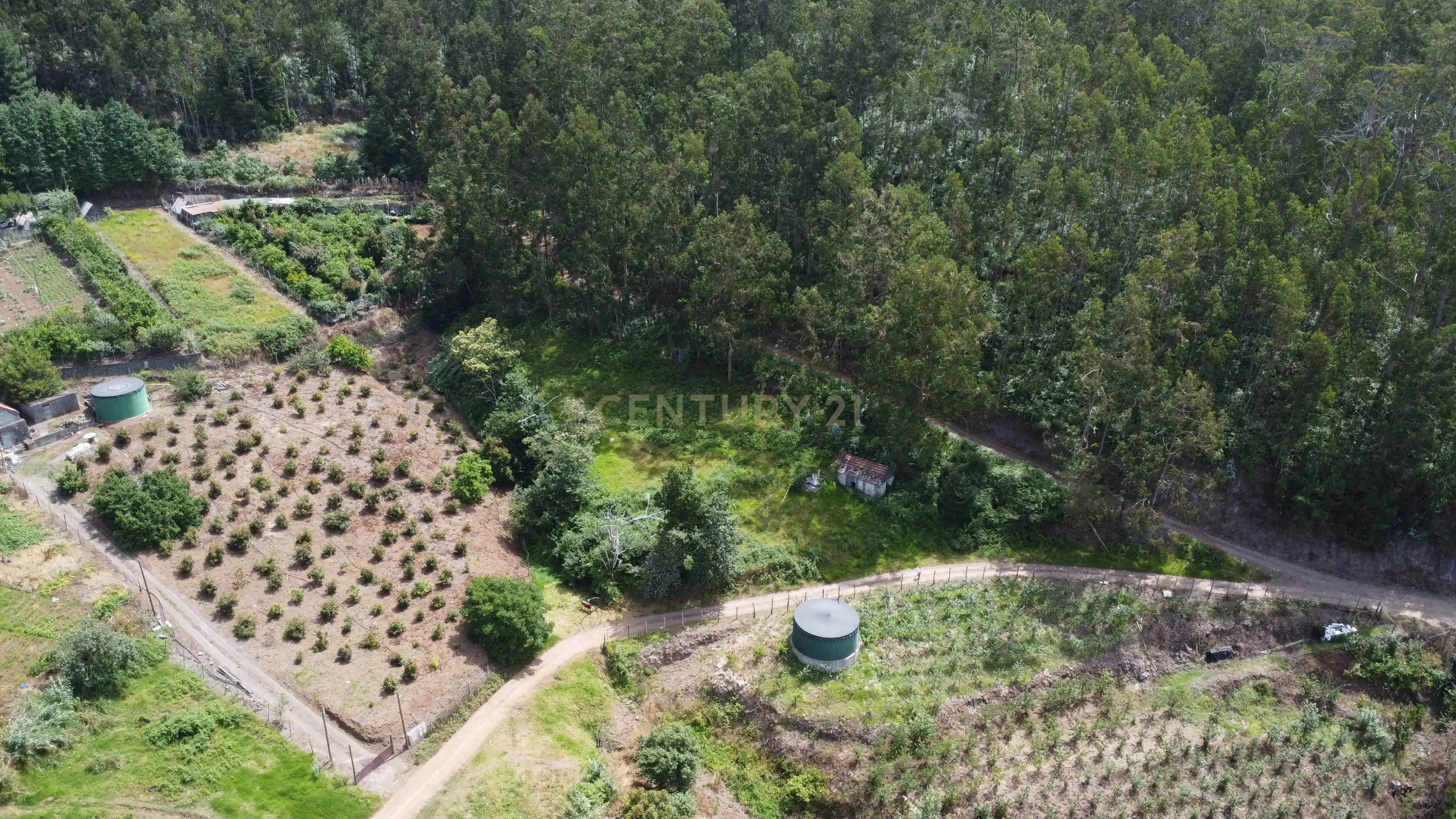 Fotografia 5 de Oportunidade Exclusiva na Madeira – Terreno com 3.796 m² nos Canhas, Ponta do Sol
