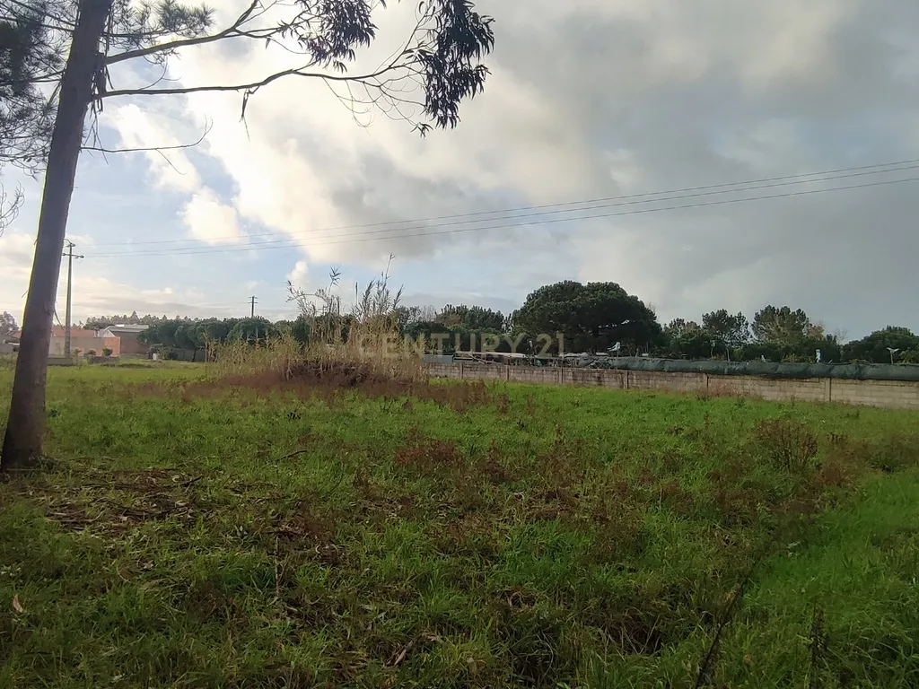 Terreno para construção na Moita, Marinha Grande - Image 3